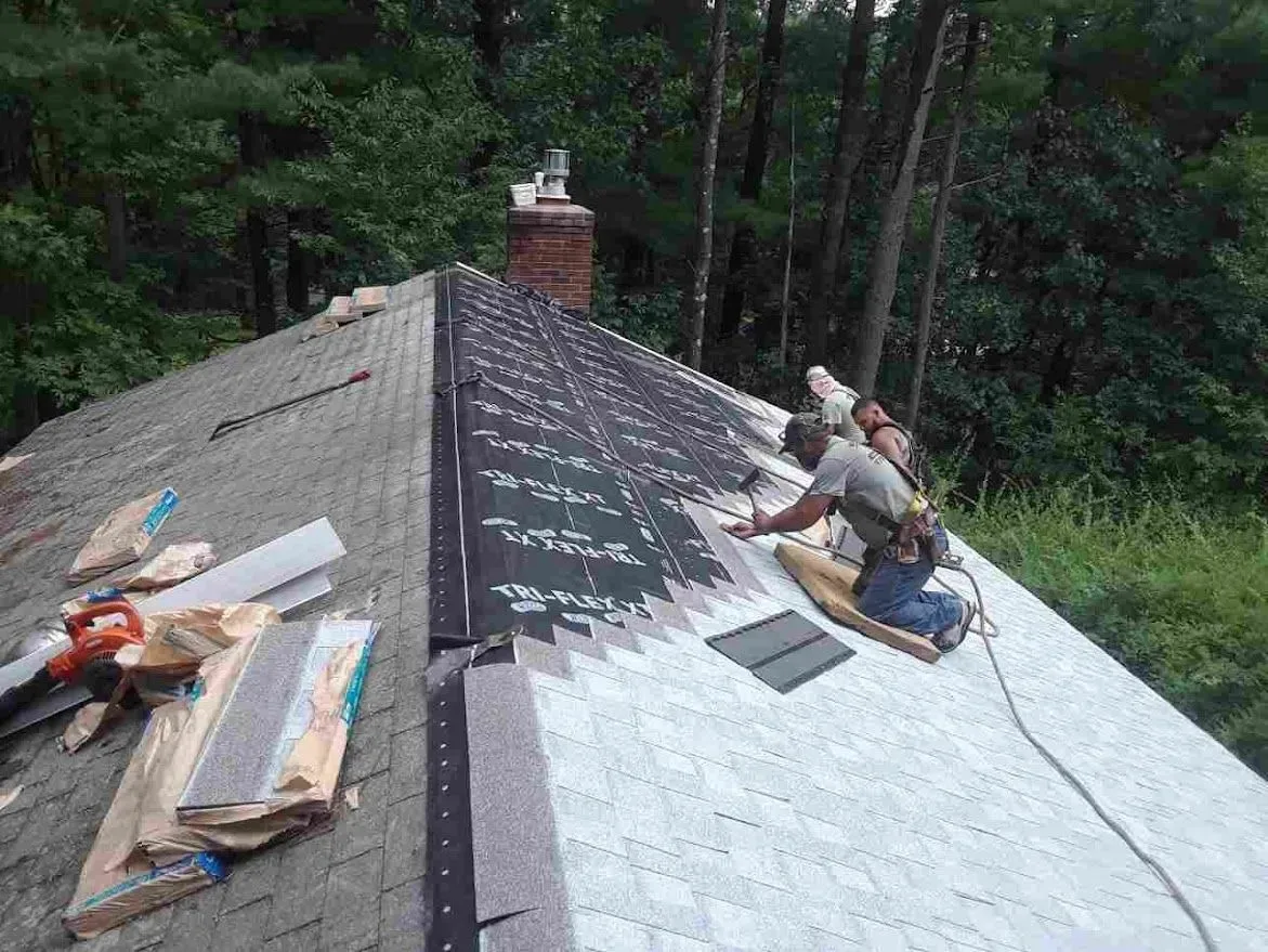 Avoid Frequent Shingle