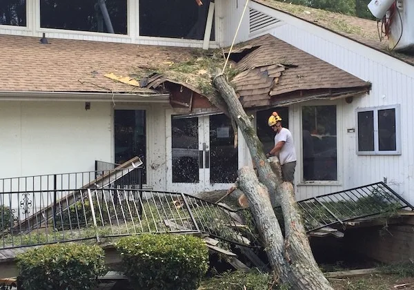 Storm Damage
